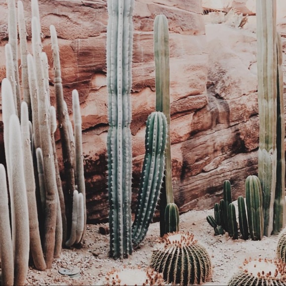 Hello friend! 👋🏻 - Picture 3 of 8